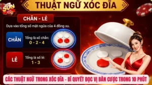 Các Thuật Ngữ Trong Xóc Đĩa - Bí Quyết Đọc Vị Bàn Cược Trong 10 Phút